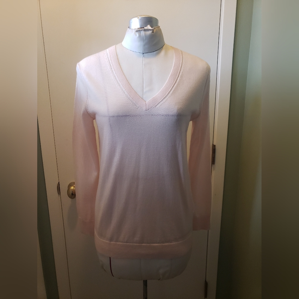 NWT Banana Republic Blush Pink Merino Wool V-Neck Sweater